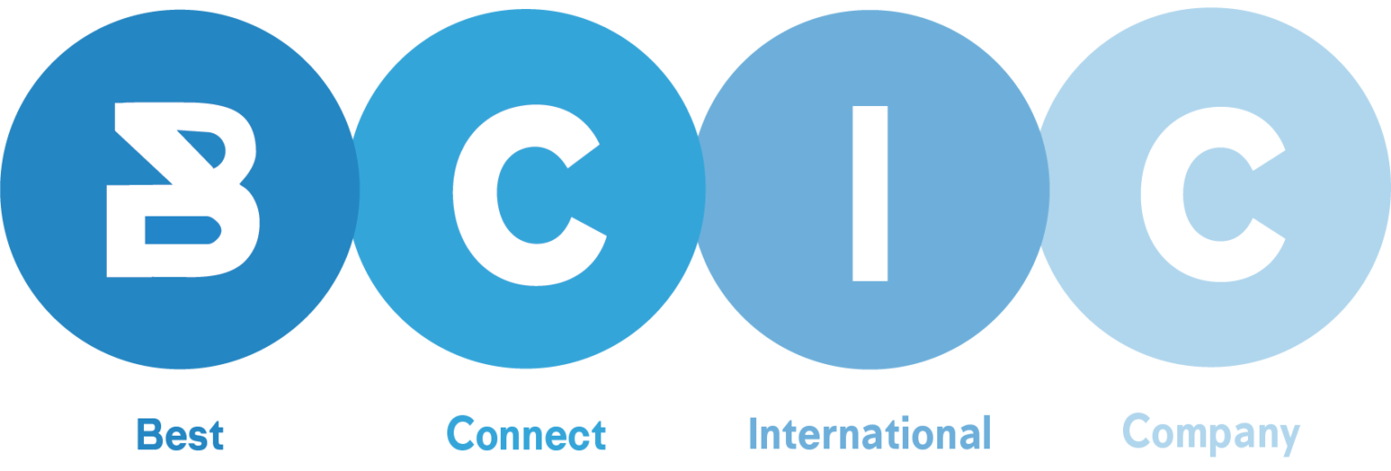 Bcic Header Bcic Swiss – Bcic Swiss | IT onsite, Web Apps, Cyber Security & Ai ...